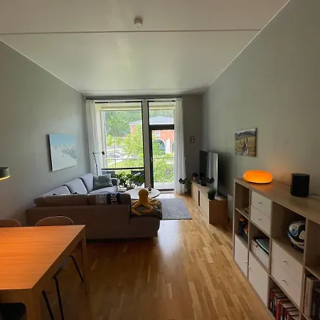 Appartamento Cozy 1-bedroom In Quiet Ilsvika